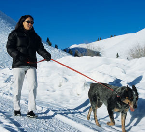 Exercise With Your Dog and Lose More Weight