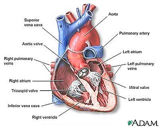 Chill Out: Anger Is Bad For the Heart