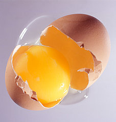 5 Things: Eggs