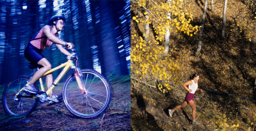 Tips For Exercising in the Woods