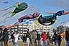 April is National Kite Month
