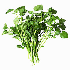 Watercress Is a Great Food to Include in Your Spring Detox