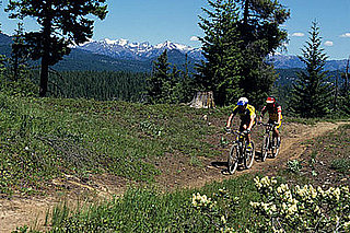 5 Reasons to Bike