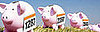 Recession-Proof Your Workout: Active.com Budget Page