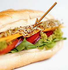 Alfalfa Sprouts Linked to Salmonella 