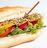 Alfalfa Sprouts Linked to Salmonella 