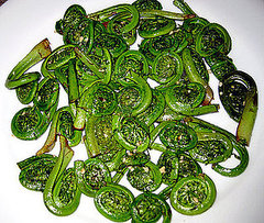 Nutritional Information of Fiddleheads Nutritional Information of Fiddleheads