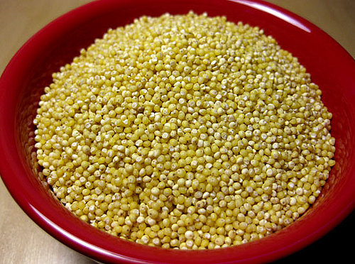Learn to Love: Millet
