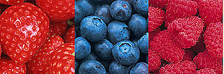 How Do These Berries Compare?