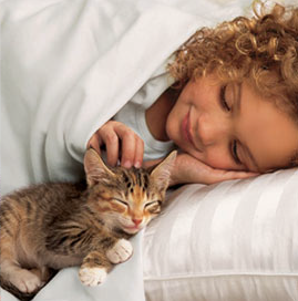 PetSugar Iams Giveaway