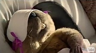 Australian Kotex Ad Starring a Beaver