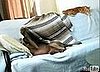Dog Steals Blanket From Cat