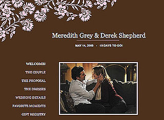 Meredith and Derek's Wedding Website on The Knot for Grey's Anatomy