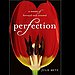Perfection by Julie Metz
