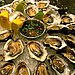 Oysters
