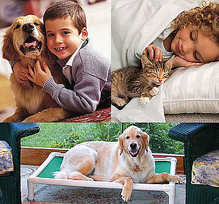 Win an Iams Package For Your Cat or Dog and Two Kuranda Beds For Shelter Pets 2009-02-25 12:45:04