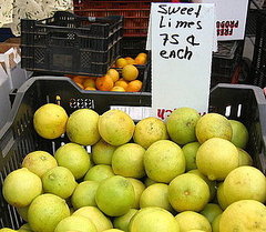 What Is a Sweet Lime?