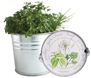 Herb Garden 