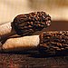 Morels