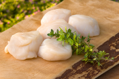 Scallops Scallops