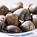 Clams