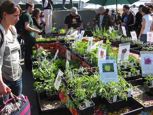 This Week's Food News: Apr. 22, 2009