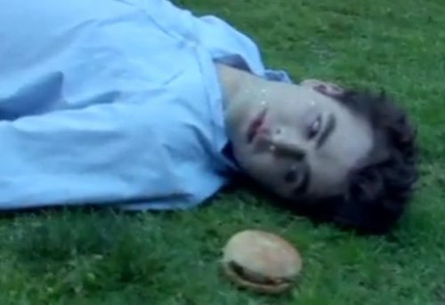 Twilight With Cheeseburgers Parody