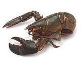 Expert Recipe For Lobster Rolls Expert Recipe For Lobster Rolls