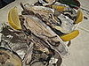 How to Store Raw Oysters
