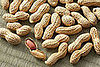 Are Inspectors to Blame For the Peanut Salmonella Outbreak?