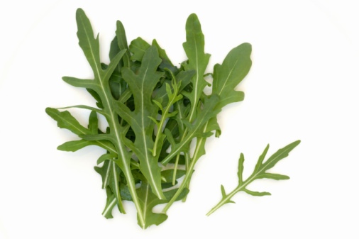 Arugula Arugula