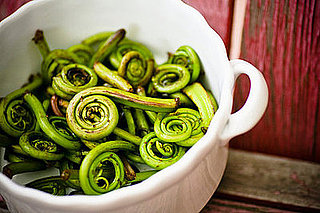 Fiddlehead Fern
