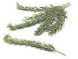 Leg of Lamb With Garlic and Rosemary Leg of Lamb With Garlic and Rosemary