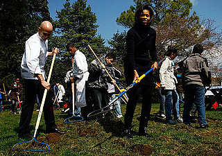 How Much Do You Know About the First Garden?