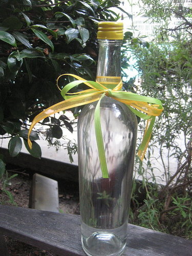 Go Green! Turn Old Wine Bottles Into Water Holders