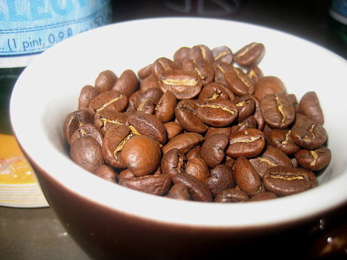 Do You Own a Coffee Maker?