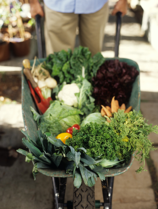 Come Party With Me: Farmers Market Feast — The Look Come Party With Me: Farmers Market Feast — The Look