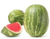 Watermelon Rum Mash Watermelon Rum Mash
