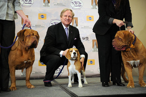 Breed Spotlight: Dogue de Bordeaux Breed Spotlight: Dogue de Bordeaux