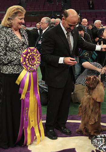 Viewers' Choice: Westminster Redo?