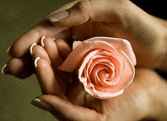 Say "I Love You" to Your Skin With Rosewater Say "I Love You" to Your Skin With Rosewater