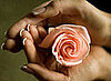 Say "I Love You" to Your Skin With Rosewater 
