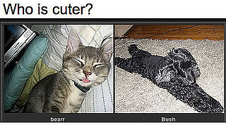 Two Little Cutie Pies, Do You Have a Fave?