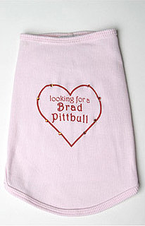Looking For Brad Pittbull: Spoiled Sweet or Spoiled Rotten?