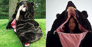 Love It or Hate It? The Great Sleeping Bear