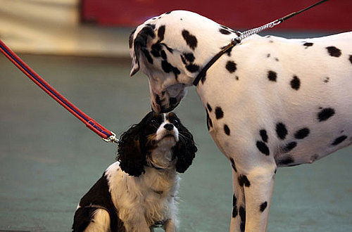 Too Cute For Words!