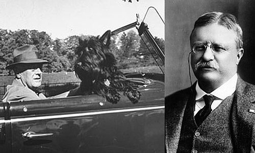 8. Roosevelt 8. Roosevelt