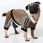 Freaky or Fabulous: Roberto Cavalli Canine Fashion