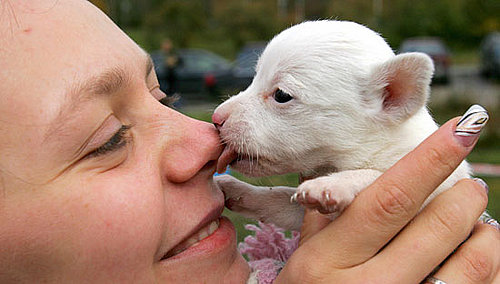 Too Cute For Words!