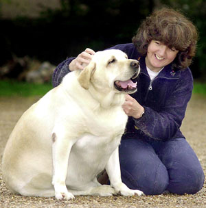 Fight Flab and Fill Out a Food and Fitness Log For Furry Friends